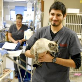 Arvada Veterinary Hospital