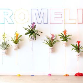 ✾Bromelia my way, my style