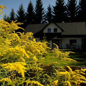 Wiejski Dworek Bieszczady