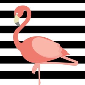 Flamant rose le blog
