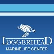 Loggerhead Marinelife Center