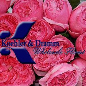 Koehler&Dramm Institute of Floristry