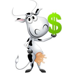Forex cash cow strategy