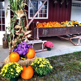 Roba Family Farms