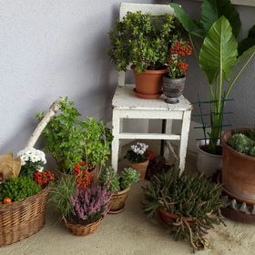 Sab Rina (stessldiandl) auf Pinterest Sab Rina (stessldiandl) auf Pinterest