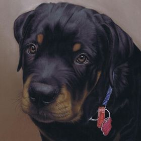 Art by Karie-Ann, pet portraits, wildlife art