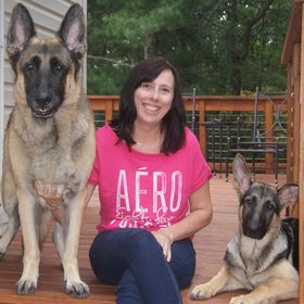 Dog-Care-Knowledge.com