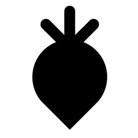 Beetroot Design Group