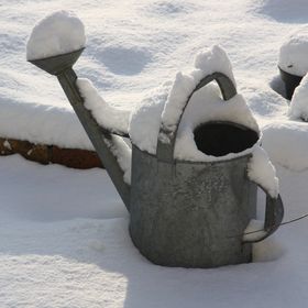 Lydie une fée d' hiver