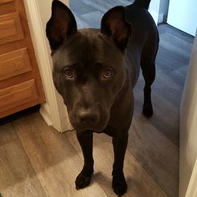 Horizon Square Apartments In Laurel Md Sara Amero Kale Skale33 - Profile Pinterest