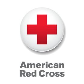 AMERICAN RED CROSS DISASTER SERVICES RED CROSS PATCH FREE SHIPPING! WHITE