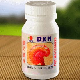 Ganoderma Mushroom