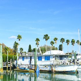 Bay Breeze International Realty