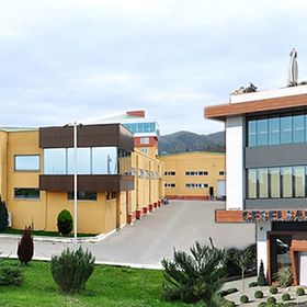 Ceselsan Makina
