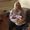Marlena