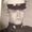 Dennis Sandlin