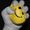 sylphon