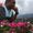 Sarath Sathyanathan