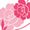 The Pink Camellia