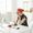 Interior Designer