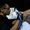 Chapa Tattoo-Studio