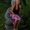 Stephanie Wilson Wiley