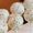 HunnyDo Cake Pops