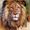 Lion's Den Society