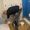 D P Wake Joinery and Tiling