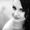 Janine Van Schalkwyk