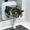 Catflap9