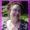 Paula Stone