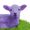 Purple Lamb Fiber Arts