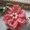 GMa Ellen Crochet Gifts