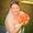 Jennifer Beaman