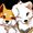 Shiba Inu Lover