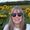 Ann Fallon Bradley