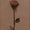 BlackmxRose