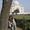 Ann Singh