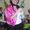 Rhonda Hilburn