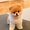 What Can Dogs Eat