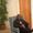 Apostle J Alford