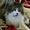 Lisa Otter