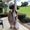 Anna Gilmore