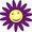 Purple Daisy Jewelry