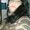 Luciana Lopes