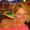 Christine Woodford