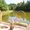 HealingExchange Al