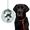 Disco Dog
