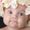 Baby Pictures